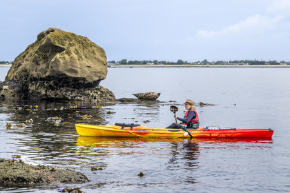 France, Finistère (29), Penmarch, archipel des Étocs, sortie en kayak du Centre nautique du Guilvinec à la découverte du phoque gris (halichoerus grypus) dans les rochers à marée basse