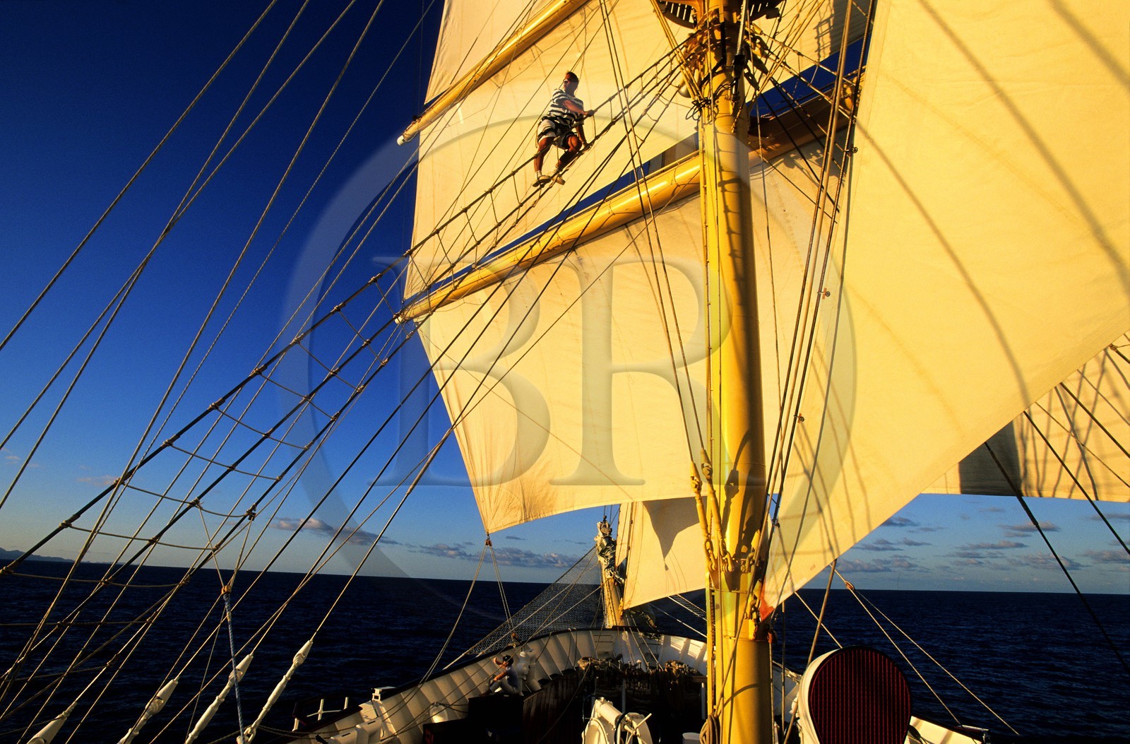 Caraïbes, le 5 mâts SPV Royal Clipper toutes voiles dehors, un marin grimpe dans les voiles