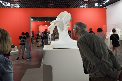 France, Paris (75), Grand Palais, exposition du centenaire (de la mort) d'Auguste Rodin