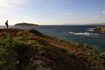 France, Var (83), Ile des Embiez, plage de la Gabrielle sur la côte Nord