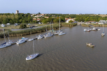 France, Charente-Maritime (17), Rochefort, le petit port de plaisance de Soubise sur la Charente (vue aérienne)