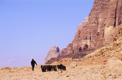 Jordanie, Wadi Rum, bédouine avec son troupeau de chèvres