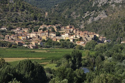 France, Hérault (34), vallée de l' Orb, village de Roquebrun au lointain et vignoble AOC Saint-Chinian & Roquebrun