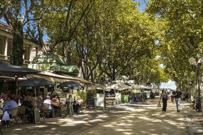 France, Hérault (34), Montpellier, Esplanade Charles-de-Gaulle, kiosques et promeneurs sous les platanes