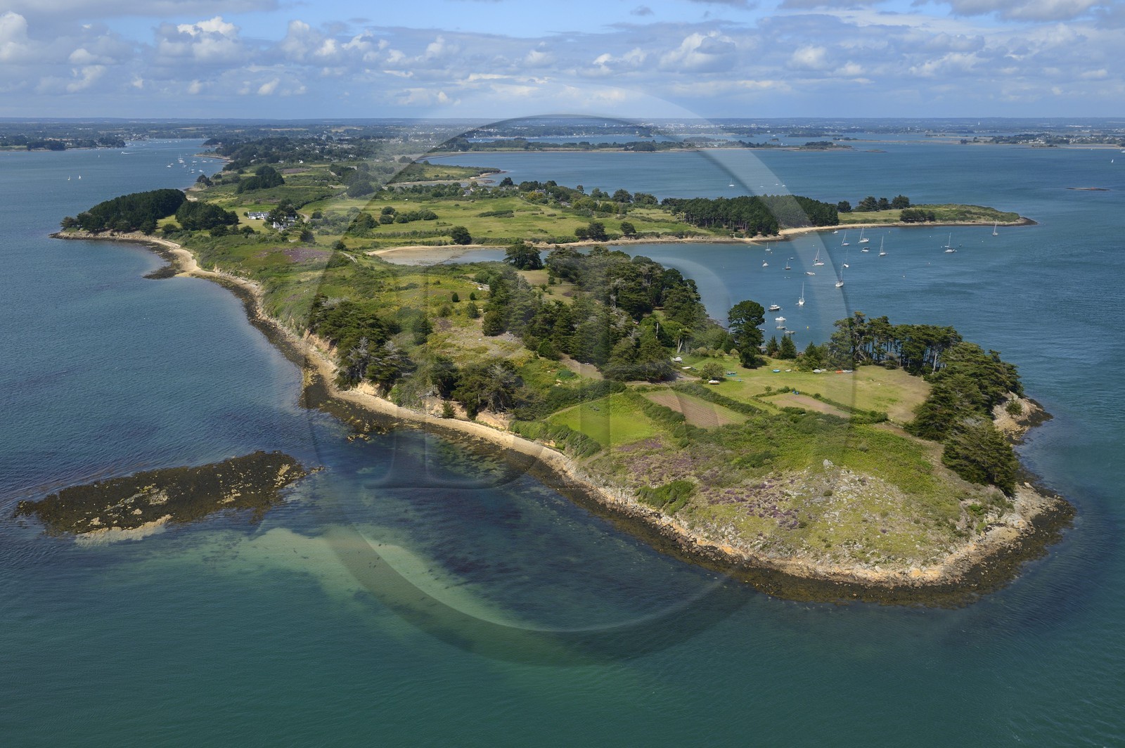 France, Morbihan (56), Golfe du Morbihan, Ile-aux-Moines vue du sud (vue aérienne)