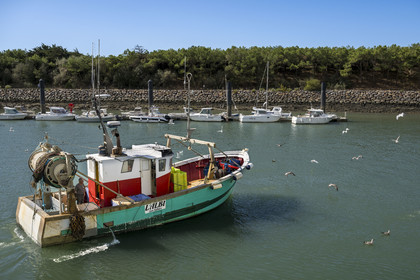 France, Vendée (85), Saint-Gilles-Croix-de-Vie, bateau quittant le port de pêche