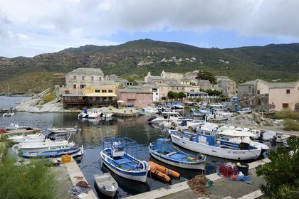 France, Haute-Corse (2B), Cap Corse, Centuri, le port de pêche