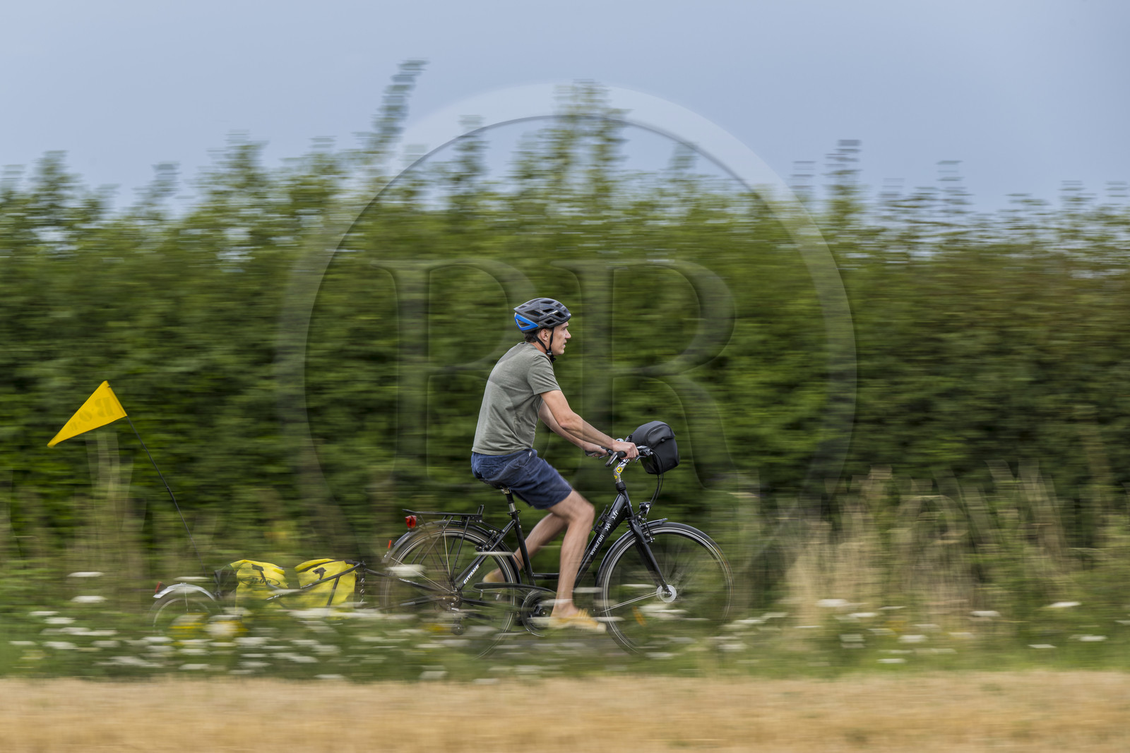 France, Maine-et-Loire (49), vallée de la Loire classée au Patrimoine Mondial par l'UNESCO, Saumur vers Saint-Hilaire, randonnée à bicyclette avec une remorque transportant le matériel de camping
