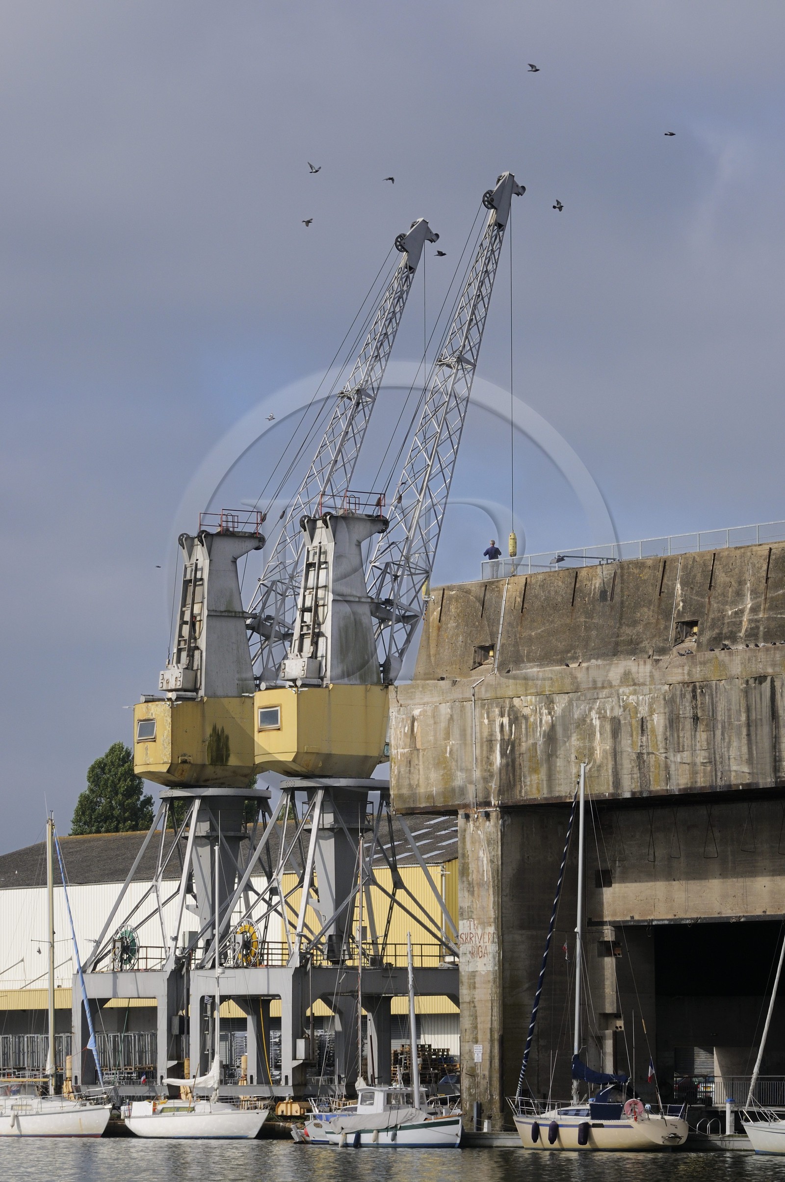France, Loire-Atlantique (44), port de Saint-Nazaire, grues du grand bassin