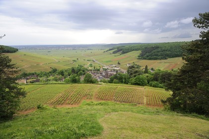 France, Côte d'Or (21), Pernand-Vergeles et la côte de Beaune
