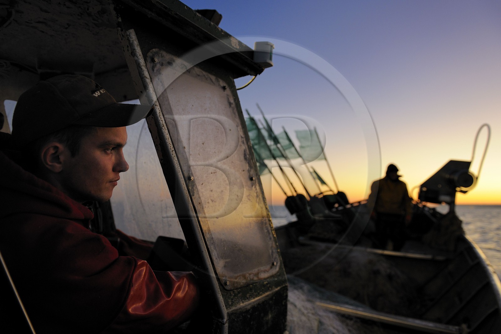 France, Seine-Maritime (76), au large de Veules-les-Roses à l'aube, pêche au filet à bord du bateau La Pomme appartenant à Anthony Paumier le plus jeune patron de pêche de France (22 ans) à l'époque, Anthony est décédé dans le naufrage de son bateau en mai 2012 avec son père Didier