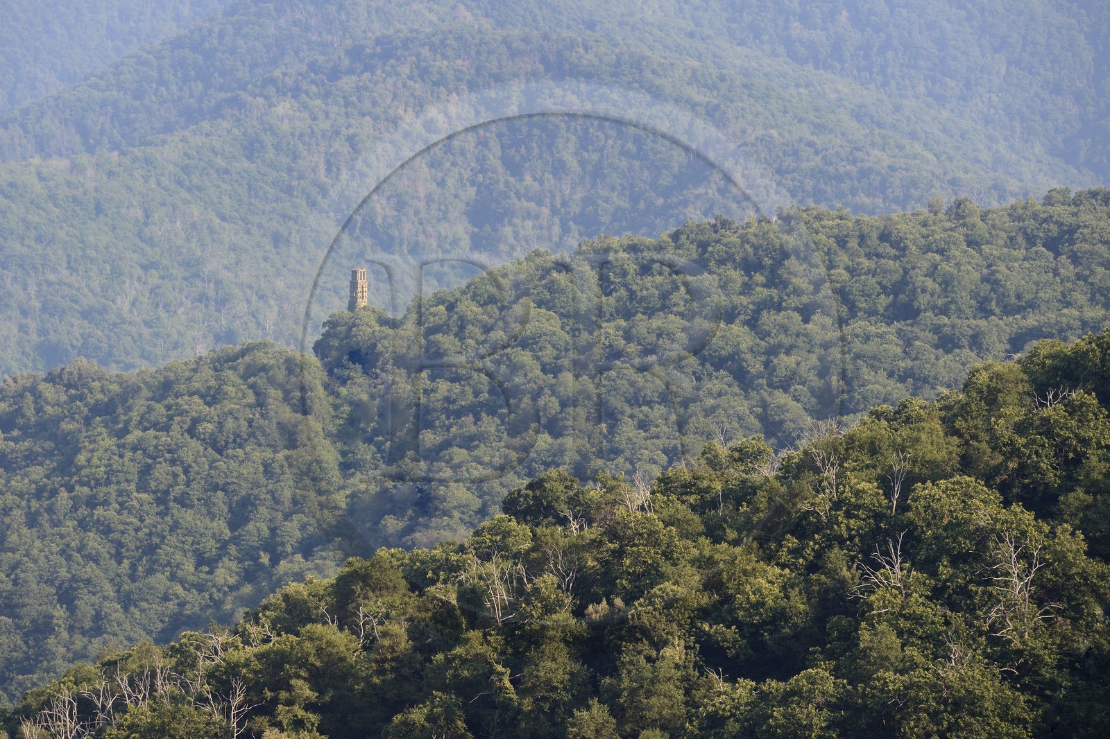 France, Haute-Corse (2B), Castagniccia, Piedicroce, ruines du couvent Saint-François d'Orezza