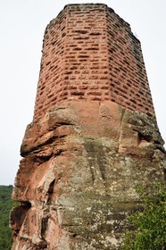 France, Bas-Rhin (67), Parc naturel régional des Vosges du Nord, Niedersteinbach, foret domaniale de Steinbach, ruines du chateau de Wasigenstein