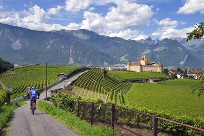 Suisse, Canton de Vaud, Aigle, le chateau entouré par le vignobles, il abrite le musée de la Vigne et du Vin