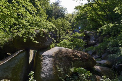France, Finistère (29), parc naturel régional d'Armorique, Huelgoat, chaos granitique de la forêt du Huelgoat, lieu dit Le Ménage de la Vierge