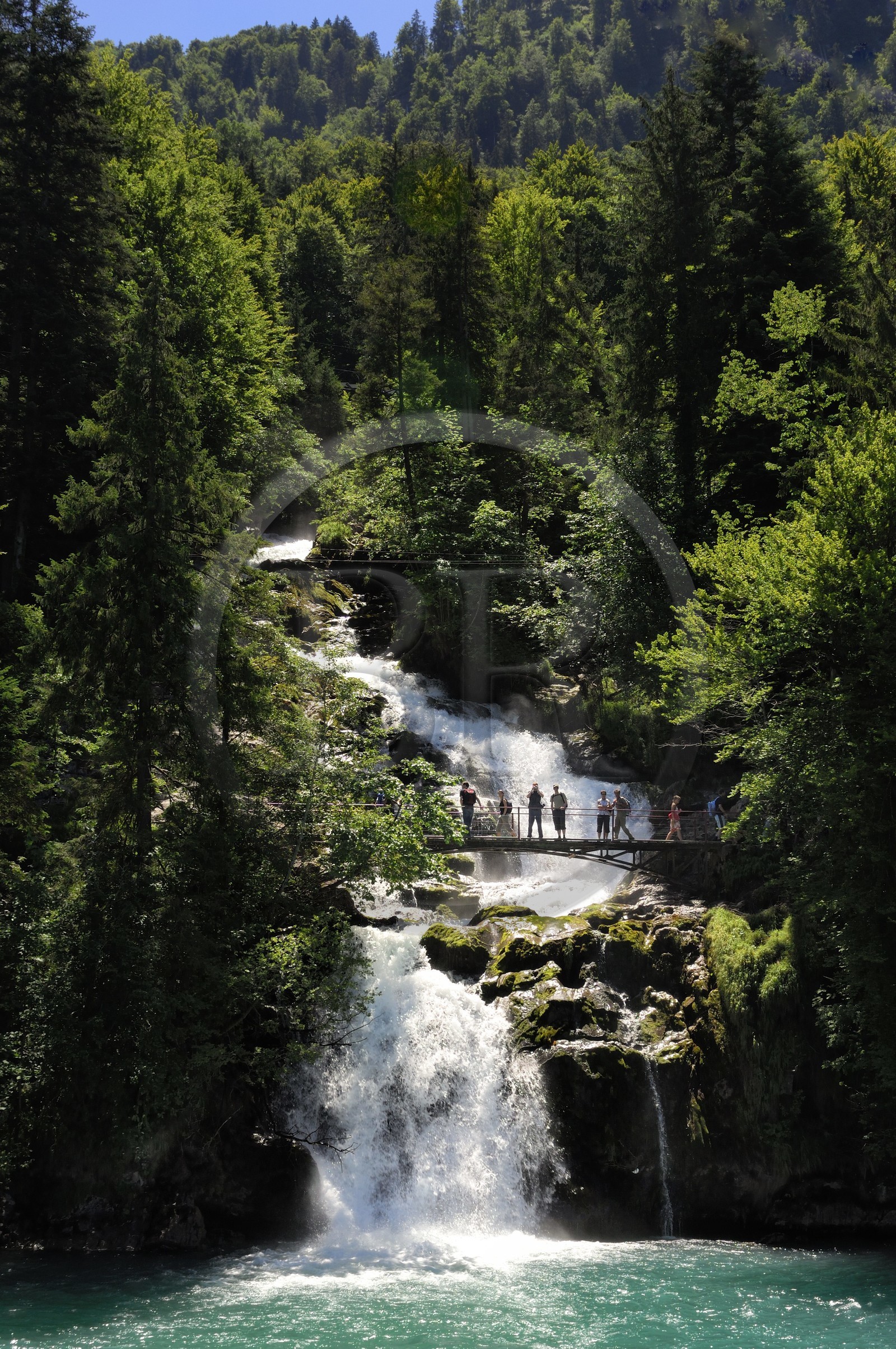 Suisse, Canton de Berne, Oberland Bernois, Interlaken, lac de Brienz (Brienzer See), cascades de Giessbach (Giessbachfälle)