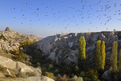 Turquie, Anatolie Centrale, province de Nevsehir, Cappadoce classée Patrimoine Mondial de l'UNESCO, le village troglodytique d'Uçhisar et la vallée des Pigeonniers