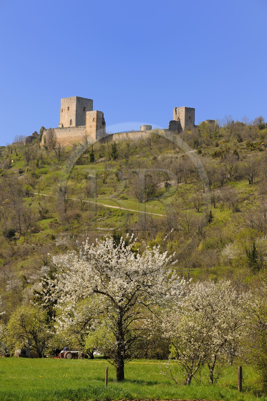 France, Aude (11), le château cathare de Puivert du XIIe siècle