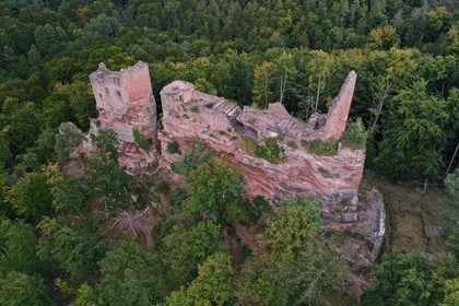 France, Bas-Rhin (67), Parc naturel r