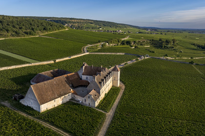 France, Côte-d'Or (21), Paysage culturel des climats de Bourgogne classés Patrimoine Mondial de l'UNESCO, Route des Grands Crus, vignoble de la Côte de Nuits, Vougeot, le Chateau du Clos de Vougeot entouré par le vignoble (vue aérienne)