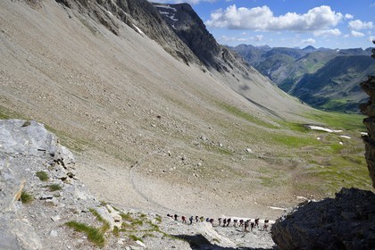 France, Alpes-de-Haute-Provence (04), Uvernet-Fours, parc national du Mercantour, vallée de l'Ubaye, sentier de randonnée du circuit des lacs qui grimpe vers le col de la Petite Cayolle (2639 m)