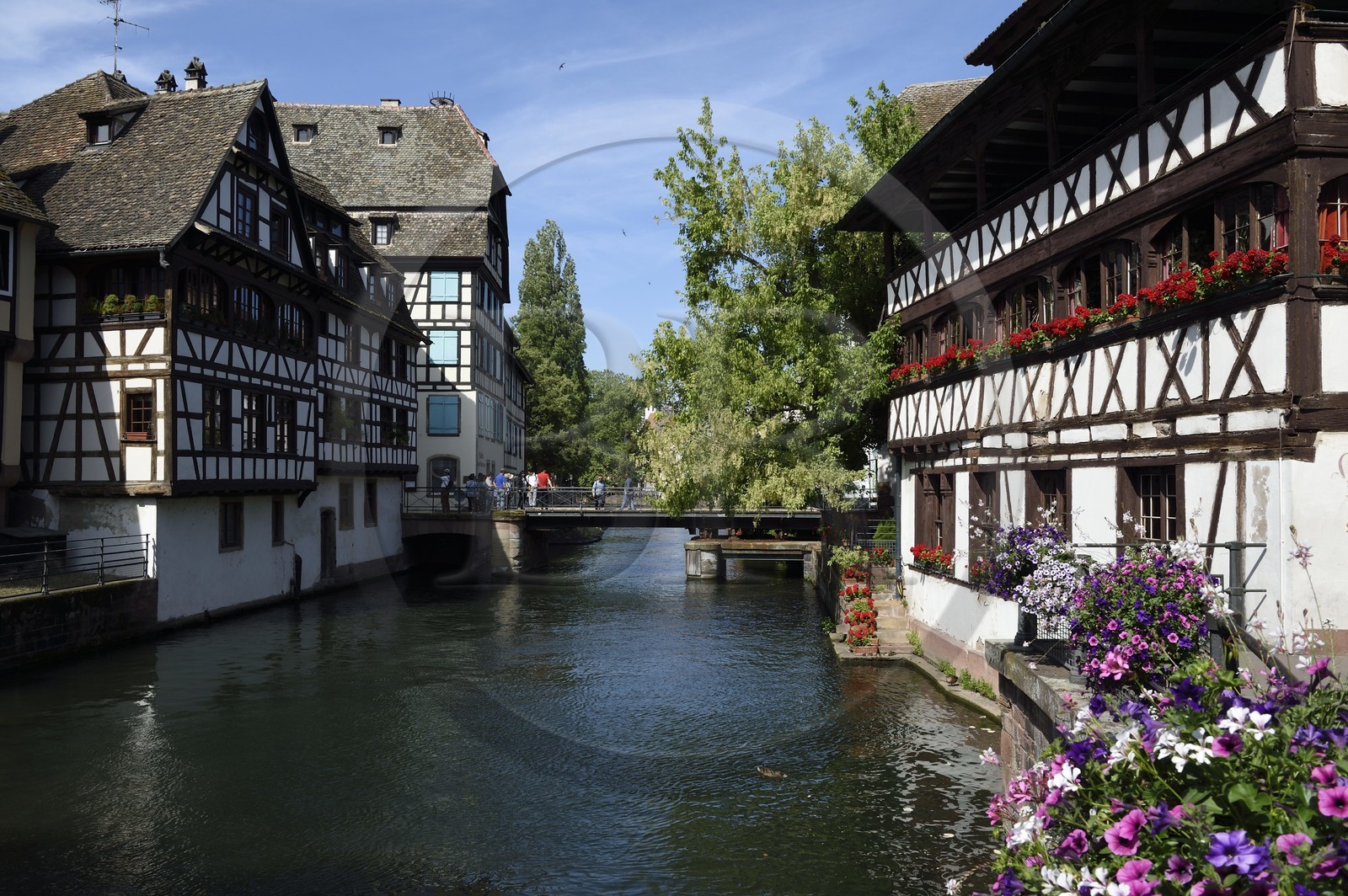 France, Bas-Rhin (67), Strasbourg, vieille ville classée au Patrimoine Mondial de l'UNESCO, quartier de la Petite France, le pont du Faisan sur un bras de l'Ill et la Maison des Tanneurs de 1572 (restaurant) à droite