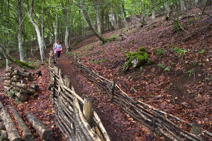 France, Puy-de-Dôme (63), Aydat, sur les pentes du volcan du Puy de Vichatel, Parc naturel régional des Volcans d'Auvergne sur le parcours Musette nature sentier de Vichatel, aménagements (gabion) créé par le parc pour les randonneurs