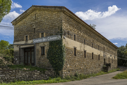 France, Gard (30), Monoblet, magnanerie de l'Atelier Sericyne relance la sériciculture française, élevage de vers à soie et production de soie d'exception et intissée pour la réalisation d'objets de décoration
