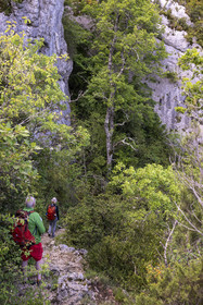 France, Vaucluse (84), Parc naturel régional du Mont Ventoux, Monieux, Gorges de La Nesque, randonneurs descendant sur un sentier vers le  fond du canyon