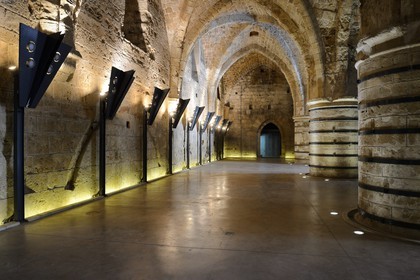 Israel, district Nord, Galilée, Acre (Akko), vieille ville, classée Patrimoine Mondial de l'UNESCO, la citadelle des Hospitaliers, le refectoire ou salle des chevaliers