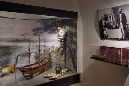 France, Var (83), Saint-Tropez, citadelle du XVIe siècle, musée d'Histoire maritime tropézienne, salle consacrée au capitaine Annibal Bérard