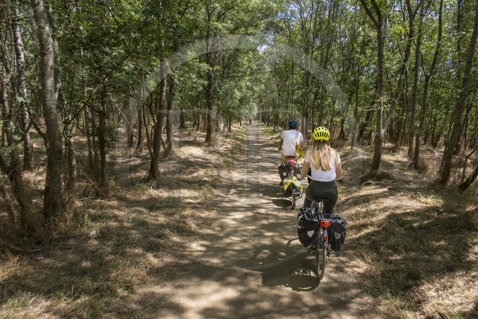 France, Maine-et-Loire (49), vallée de la Loire classée au Patrimoine Mondial par l'UNESCO, Dampierre à l'Est de Saumur, randonnée à bicyclette le long des berges de la Loire sur la piste cyclable La Loire à Vélo, vélo avec une remorque transportant le matériel de camping