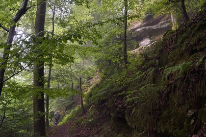 France, Bas-Rhin (67), Parc Naturel régional des Vosges du Nord, La Petite Pierre, rrandonneurs sur le sentier des Trois Roches en dessous du Rocher Blanc