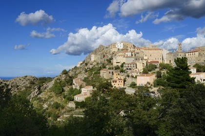France, Haute-Corse (2B), Balagne, village perché de Speloncato