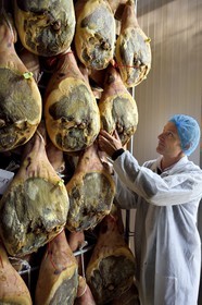 France, Pyrénées-Atlantiques (64), Pays-Basque, vallée des Aldudes, le Séchoir Collectif des Aldudes assure une prestation de séchage et l'affinage de jambons, période dans le séchoir