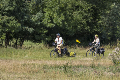 France, Maine-et-Loire (49), vallée de la Loire classée au Patrimoine Mondial par l'UNESCO, Saumur vers Saint-Hilaire, randonnée à bicyclette sur les berges de la Loire, vélo avec une remorque transportant le matériel de camping