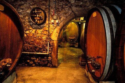 France, Haut-Rhin (68), Ammerschwihr, la cave à vin Alphonse Hunckler & fils