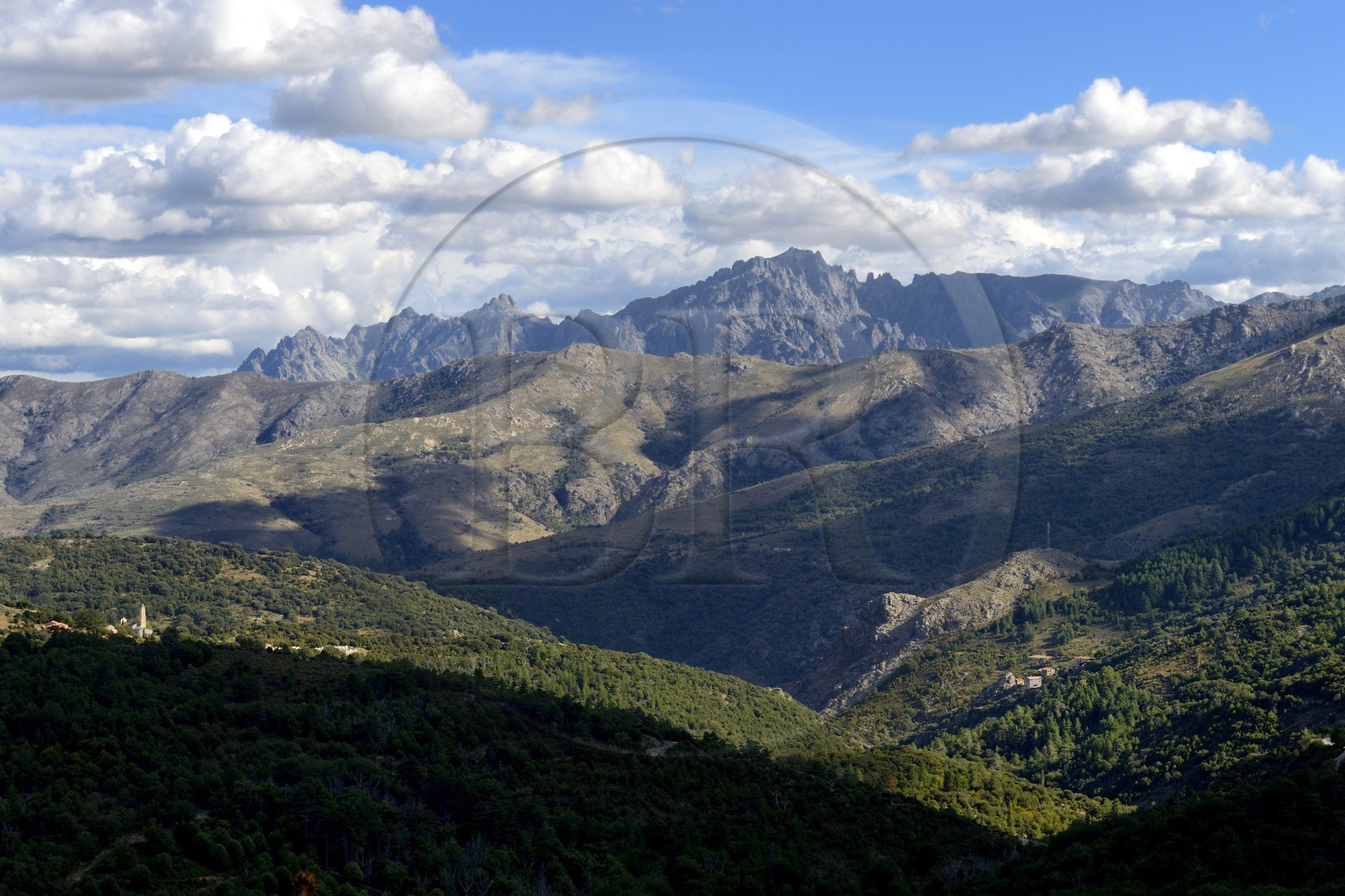 France, Haute-Corse (2B), Balagne, vallée du Giussani dans le parc naturel régional, la forêt de Tartagine et l'église Santa-Maria Assunta sur la commune de Pioggiola