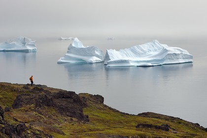 Groenland, cote ouest, Ile de Disko, Qeqertarsuaq, randonneur sur la côte et icebergs dans la brume en arrière plan