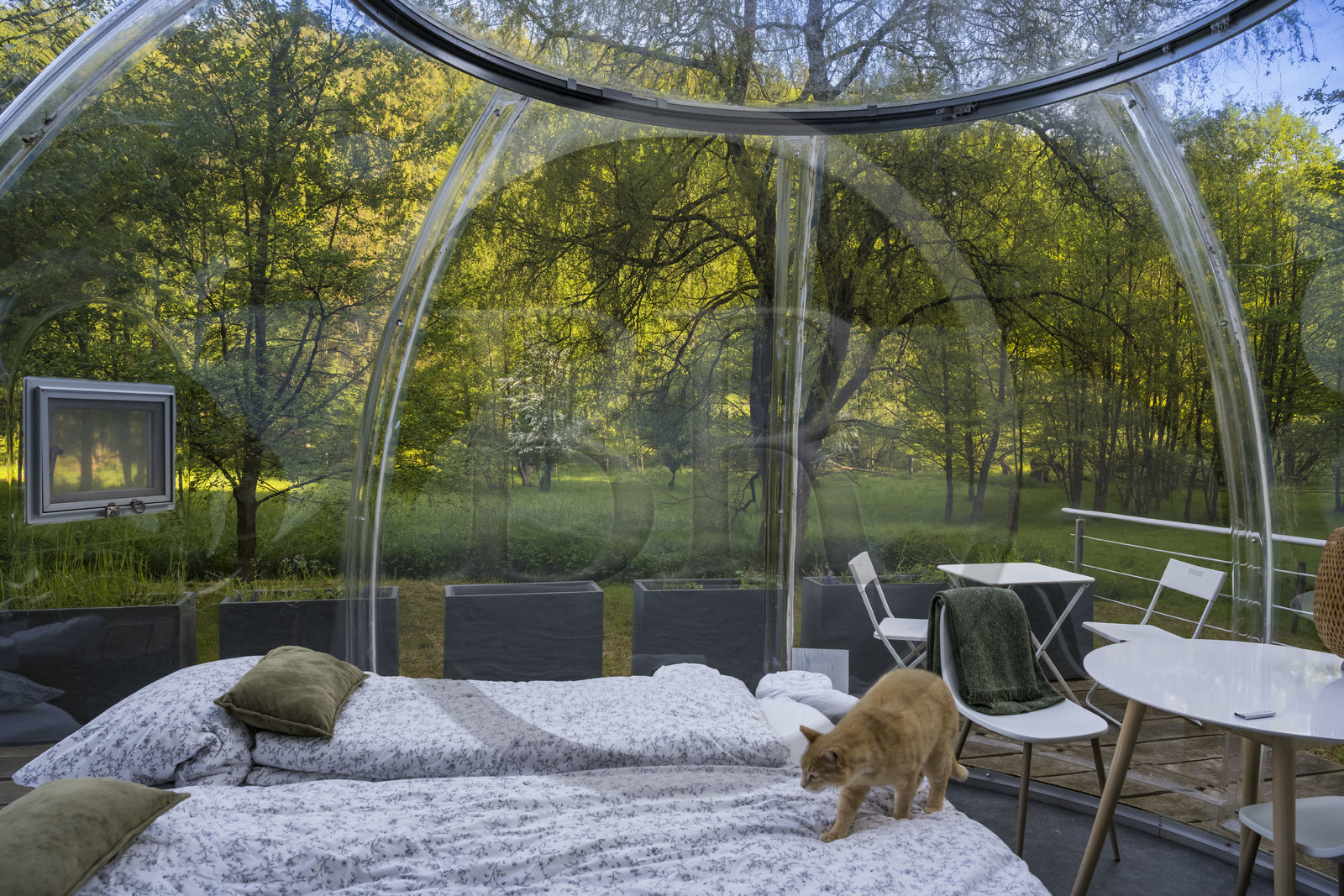 France, Moselle (57), Parc régional des Vosges du nord, Siersthal – Holbach près de Bitche, chambres d'Hôtes la Grange d’Hélène, la bulle rigide