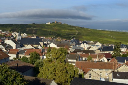 France, Marne (51), Parc Naturel Regional de la Montagne de Reims, Verzenay, vignobles de Champagne