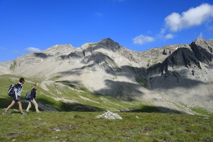 France, Alpes-de-Haute-Provence (04), Uvernet-Fours, parc national du Mercantour, vallée de l'Ubaye, col de la Cayolle (2326 m), sentier de randonnée qui grimpe à travers la pelouse alpine sur le circuit des lacs sous le sommet de la montagne du Trou de l’Aigle
