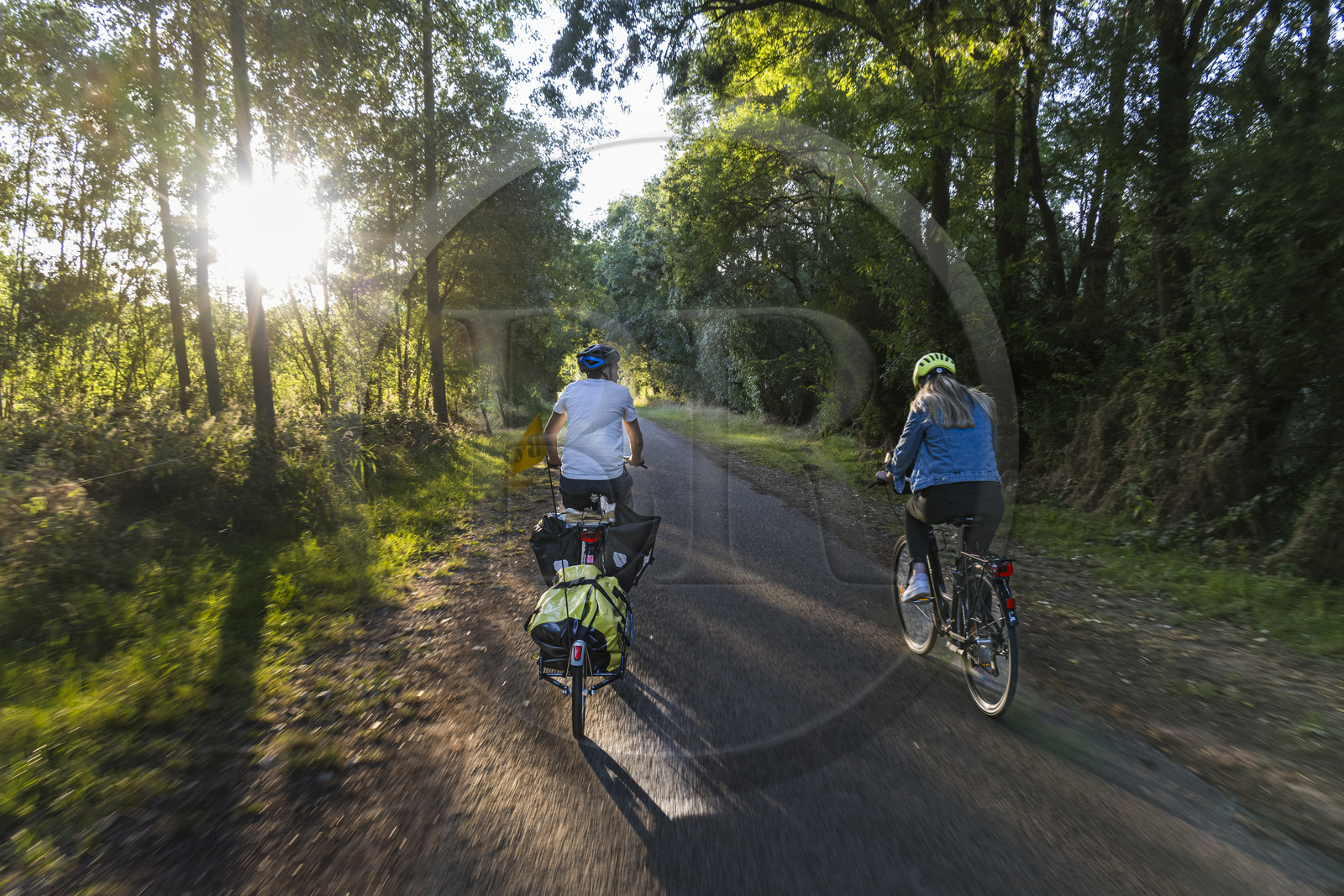 France, Maine-et-Loire (49), vallée de la Loire classée au Patrimoine Mondial par l'UNESCO, Saumur vers Saint-Hilaire, randonnée à bicyclette le long des berges de la Loire sur la piste cyclable La Loire à Vélo, vélo avec une remorque transportant le matériel de camping