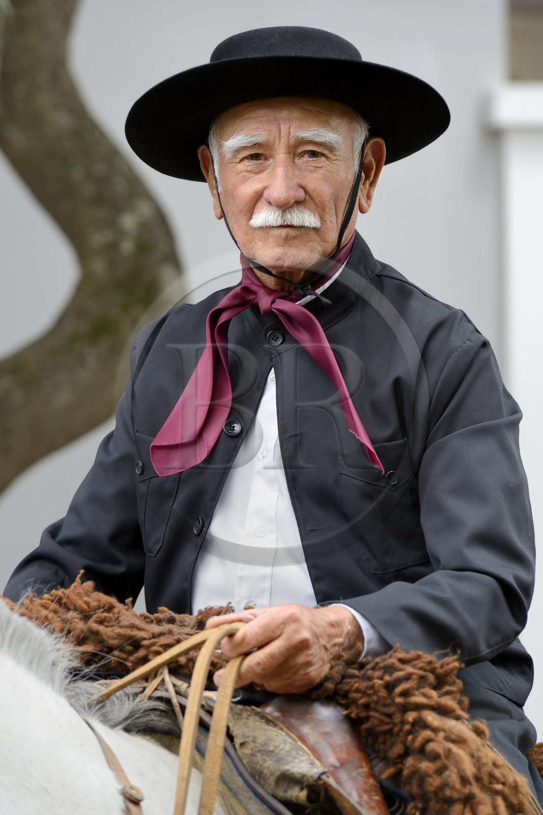 Argentine, province de Buenos Aires, San Antonio de Areco, gaucho à la fête du Jour de la Tradition (Dia de la Tradicion)