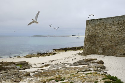 France, Finistère (29), La Foret Fouesnant, archipel des Glénan, Ile Saint-Nicolas, Fort Cigogne sur l'Ile Cigogne