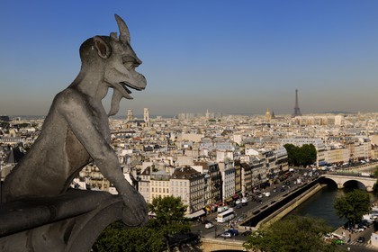 France, Paris (75), île de la Cité, la cathédrale Notre-Dame, les chimères observent la ville