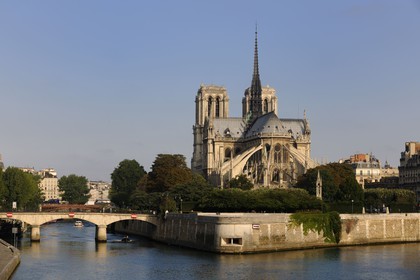 France, Paris (75), les rives de la Seine, classées Patrimoine Mondial de l'UNESCO, la cathédrale Notre-Dame