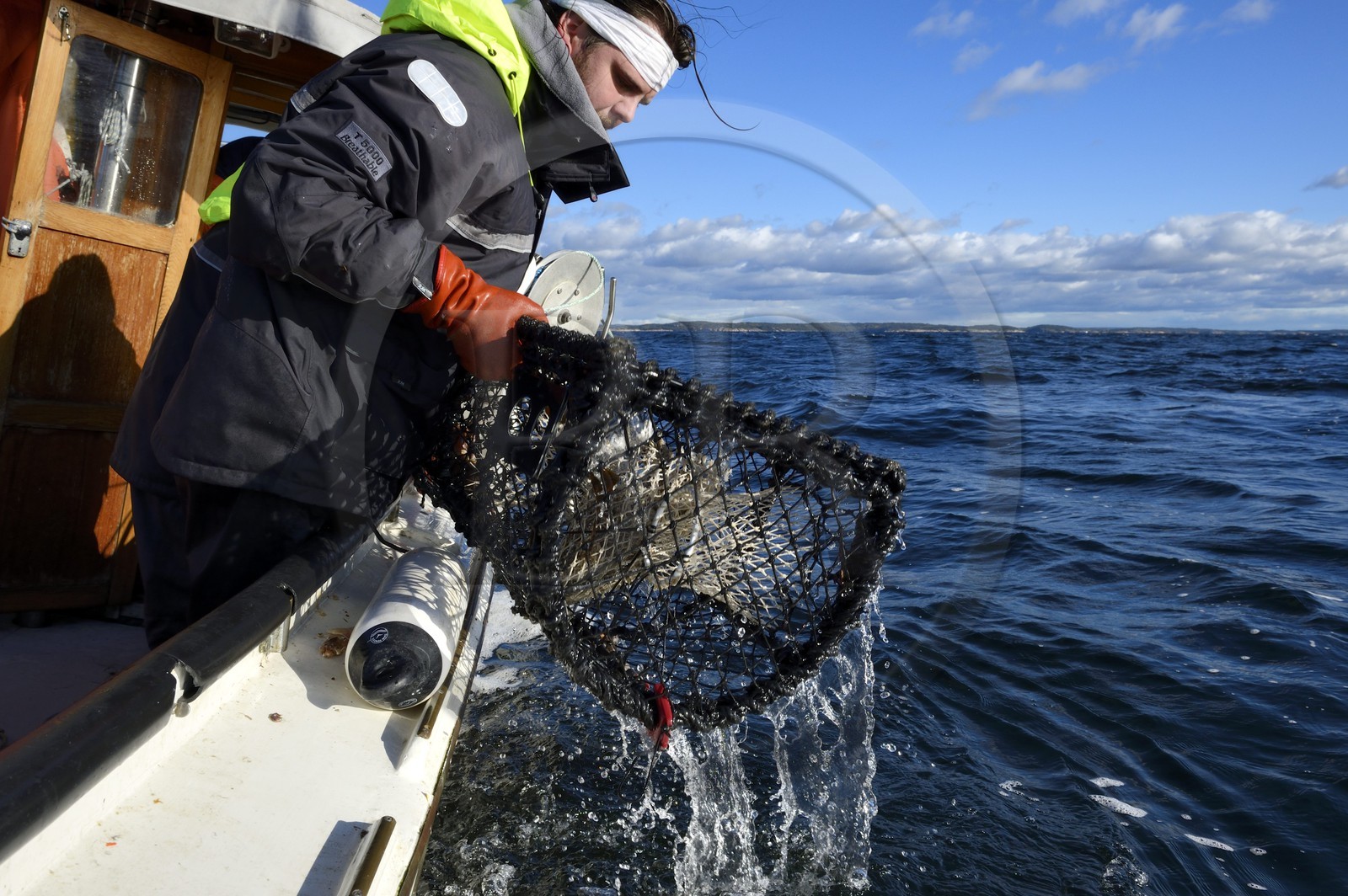 Suède, Västra Götaland, Iles Koster, sortie en mer pour récupérer les casiers à homards