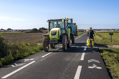 France, Vendée (85), Ile de Noirmoutier, Noirmoutier-en-l'Ile, La Messandrie, cycliste croisant un tracteur sur une route de campagne entourée de champs
