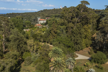 France, Alpes-Maritimes (06), Antibes, Le Jardin Botanique de la Villa Thuret (rattachée à l'INRAE), labellisé Jardin Remarquable et Arbre Remarquable, et le phare de la Garoupe en arrière plan (vue aérienne)